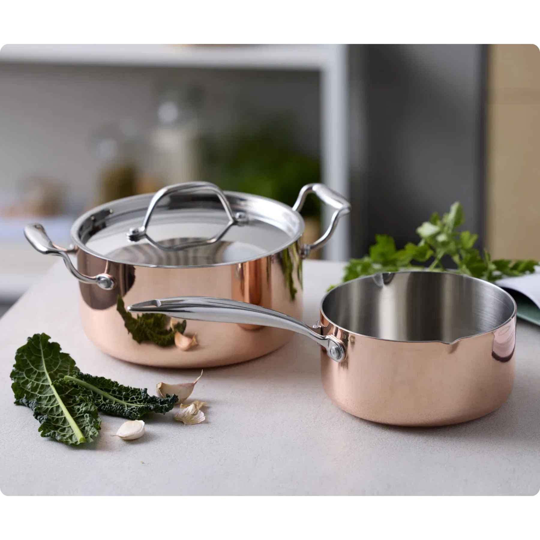 Blomsterbergs Gryde og Kasserolle